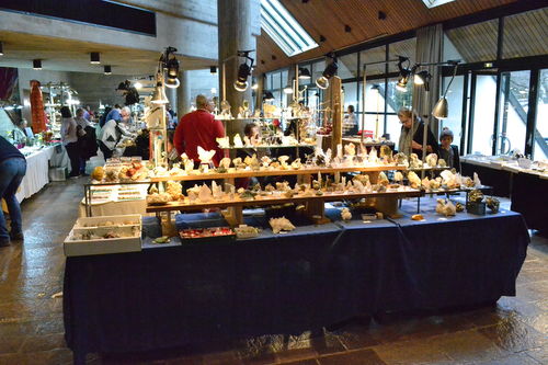 49. Int. Vorarlberger Mineralien, Edelstein + Fossilien Tage 2023